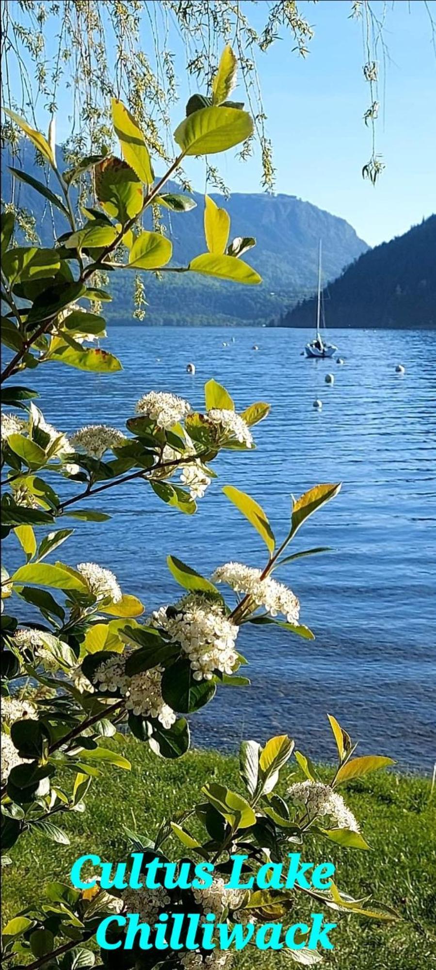 Private 2 Bedrooms Suite Near Hwy 1, Cultus Lake, Heritage Park, Fishing, Coliseum Чилиуак Стая снимка
